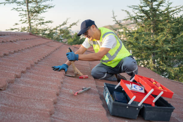 Best Slate Roofing Contractor  in Champlin, MN